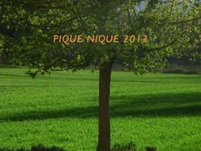 Pique-nique 2013